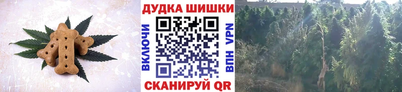ссылка на мегу ССЫЛКА  купить закладку  Углич  Cannafood конопля 