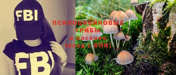 MESCALINE Арсеньев