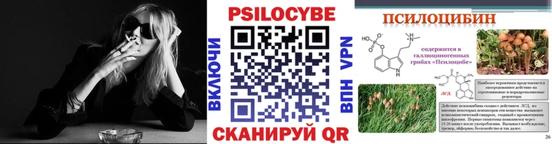 Псилоцибиновые грибы Psilocybine cubensis  Углич 
